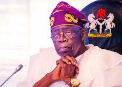 President Tinubu & State of the Nation: An Alternative View from the North