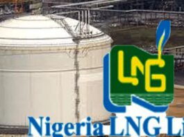 The Nigerian Liquefied Natural Gas img